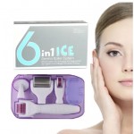 Σετ 6 σε 1 Derma Roller ICE με βελόνες τιτανίου 0.5-2mm