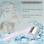 Σετ 6 σε 1 Derma Roller ICE με βελόνες τιτανίου 0.5-2mm