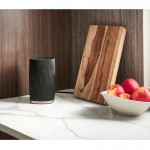 Bowers & Wilkins Formation Flex Black Wireless Speaker