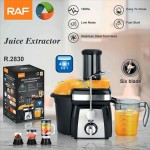 RAF 4σε1 Αποχυμωτής 1.5L 1200W R.2830